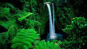 Download Forest Background Images Hd Nature Wallpapers Waterfall Beautiful Waterfalls