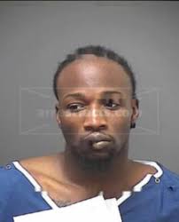 Nicholas liso vice president and controller. Adam Marshall Phone Number Address Public Records Radaris