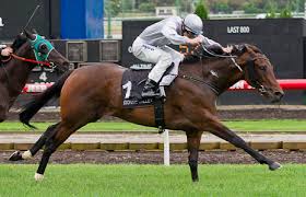 Jake Noonan celebrates city winner