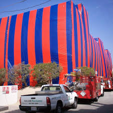 Southern california pest control services. Services Termite Control Catsusa Pestcontrol California