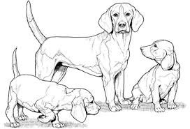 Beagle Coloring Page Puppy Coloring Pages Dog Coloring Page Animal Coloring Pages