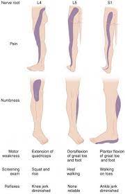 Pin On Hip Flexor