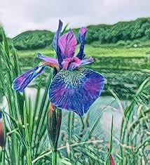 6 Best Iphone Apps That Turn Photos Into Drawings Sketches Turn Photo Into Drawing Photo To Painting App Draw On Photos