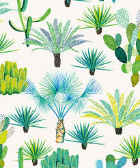 Cactus wallpaper | tumblr cactus drawing, plant drawing,. Cacti Wallpaper Desert Cactus Plants Milton King Usa