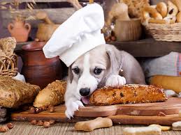 A handsome name for a large male dog. Complete List Of 526 Food Names For Dogs