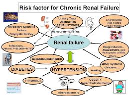 Pin By Lauren Sanders On Nursing Renal Failure Dialysis Nurse Renal