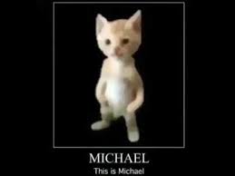 Maybe you would like to learn more about one of these? Michael Cat Meme This Is Michael Youtube