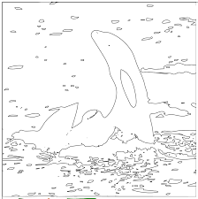 The fun doesn't end when the coloring page is filled. Virtual Marine Biology Field Camp Coloring Pages Oceans Initiative Oceans Initiative