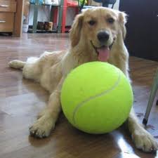 9 5 Inches Dog Tennis Ball Giant Pet Toy Tennis Ball Dog Chew Toy Signature Mega Jumbo Kids Toy Ball For Dog S Supp Dog Toy Ball Tennis Balls For Dogs Dog Ball
