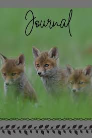 Journal Anxiety Journal And Coloring Book 6x9 90 Pages Positive Affirmations Mandala Coloring Book Adorable Fox Kits Cover Stationary Happytails 9781711852041 Amazon Com Books