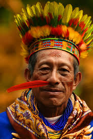 About us — Savimbo