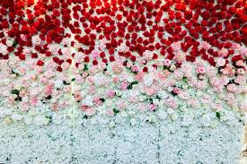 Nature pictures of flowers and butterflies for iphone and android. A Beautiful Flowers Wall Background With Amazing Red Pink And White Roses Stock Image Image Of Beautiful Field 112345809
