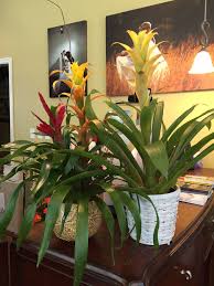 Aug 09, 2021 · if you are wondering what to do in charlotte, north carolina with kids on a rainy day, this is a great place to visit. Whatever Your Flower Needs We Can Fill Them Flowers Florist Wilmingtonnc Online Florist Flowers Online Flower Delivery Service