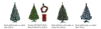 Cauti brazi de craciun foarte bogati la un pret bun? Oferte La Brazi De Craciun Din Magazinele Online Reducerix