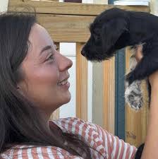 How to rescue or adopt a stray female dog and her 11 puppies in Edinburg,  TX?