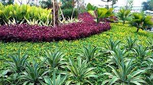 Pemilihan tanaman juga menjadi faktor yang penting. Contoh Taman Minimalis Taman Kolam Halaman Belakang Taman Bunga