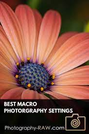 Best Macro Photography Settings Photography Raw Com Macro Photography Settings Photography Settings Macro Photography Flowers