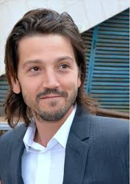 Diego Luna Authentic Strand of Hair with a Certificate of Authenticity For  Sale at 1stDibs