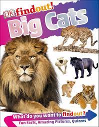 Find the answers to some of the most commonly asked questions about cats, including questions about litter box training, grooming, behavior, aggression and everything in between. Dkfindout Big Cats Dk Amazon Com Mx Libros