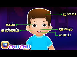 Meaning of girls body parts name in hindi. Holy Cross School Kids Day2020 Youtube