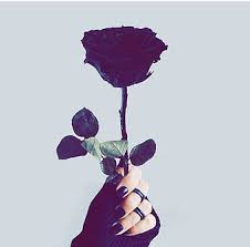 Tumblr is a place to express yourself, discover yourself, and bond over the stuff you love. Page 2 Hd Black Aesthetics Wallpapers Peakpx