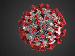 Find over 100+ of the best free covid 19 images. Who Drawing Research Roadmap To Combat Coronavirus Newly Named Covid 19 2020 02 11 Bioworld
