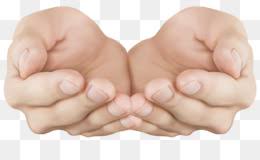 Selain itu arti tanda tangan tegak ini seringkali menunjukkan bahwa kamu memiliki pribadi yang kaku. Tangan Png Unduh Gratis Tangan Clip Art Menangkupkan Tangan Transparan Clip Art Gambar Gambar Png