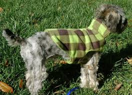 Coming in all shapes and sizes, we're pawsitive you will find the diy dog bed project that is perfect for your pooch. 35 Diy Dog Coats