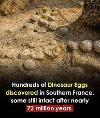 Dinosaur eggs discovered in southern France
