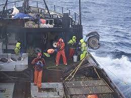 #discovery #alaskafisherman #nationalfisherman #water #ocean. Deadliest Catch Greenhorn Overboard Tv Episode 2018 Imdb