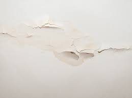 Well, you might be able to save your ceiling with this in. How To Repair Water Damage In Your Living Room Inspirations Paint