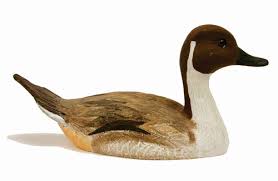 Goose Decoy Paint