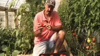 Watch whatever happened to… robot jones? Gardening Questions Answers With Mhpgardener Prepper Broadcasting Network