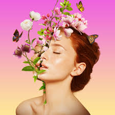 Paul Trani, Digital Designer