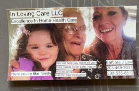 Free To Good Home For Free In New Haven, CT