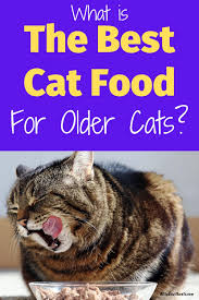 What Is The Best Cat Food For Older Cats Feeding Your Senior Kitty In 2020 Best Cat Food Older Cats Cat Food