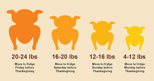 thaw your bird safely [infographic