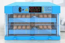 So, to select the ideal incubator, i am recommending a list of the best cabinet incubator for chicken eggs. Incubator Egg Trays Egg Incubator Small Room Design Incubator