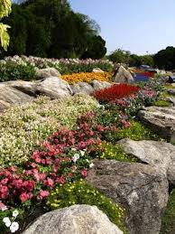 Kids Activities In Greenville South Carolina Xeriscape California California Plants Xeriscape