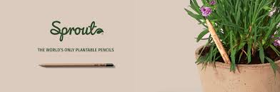 The Sprout pencil & Sprout Makeup | Sprout World