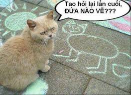 Kết quả hình ảnh cho hình mèo con vui vẻ