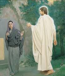 We did not find results for: July 2014 Pax Et Bonum Page 3