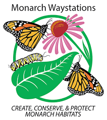 Monarch Watch Monarch Waystation Program Seed Kit Raising Monarch Butterflies Monarch Butterfly Garden