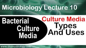 Media used for culture of tissues must be able to support their survival and growth. Microbiology Lecture 10 Bacterial Culture Media Classification Types And Uses Youtube