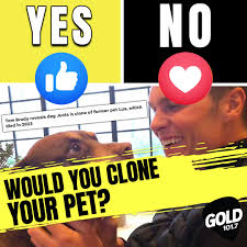 GOLD with Jonesy and Amanda