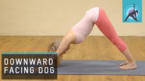 Downward Facing Dog Pose Adho Mukha Svanasana Yoga Youtube