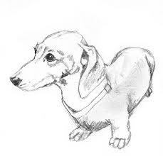 Drawing Of Dachshund Saferbrowser Yahoo Image Search Results Dogsketch Dog Sketch Dog Drawing Dachshund Drawing