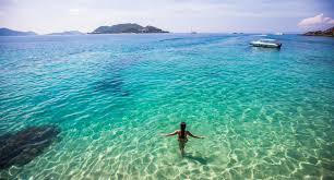Viimeisimmät twiitit käyttäjältä nha trang (@nhatrang_news). Nha Trang Vietnam Tourism