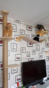 And, what i like most about it, it works with the decor in my bedroom. Customised Wall Mounted Cat Tree Cat Furniture On Walls Ddhouse Singapore Online Pet Supplies And Pet Products