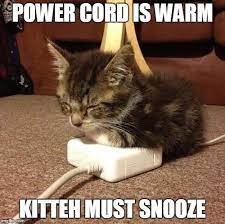 A Warm Kitteh Is Happy Kitteh Power Cord Is Warm Kitteh Must Snooze Image Tagged In Happy Kitty Cute Funny Animals Funny Cat Memes Funny Animal Pictures